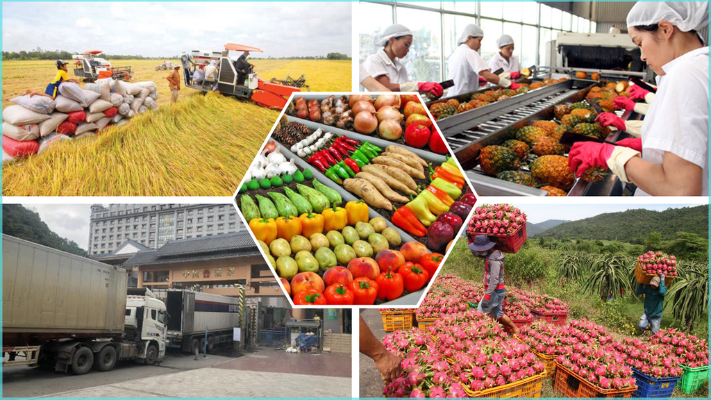 Vietnam agricultural products export packing