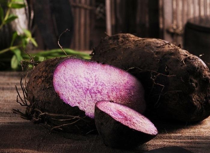Vietnam purple yam for export